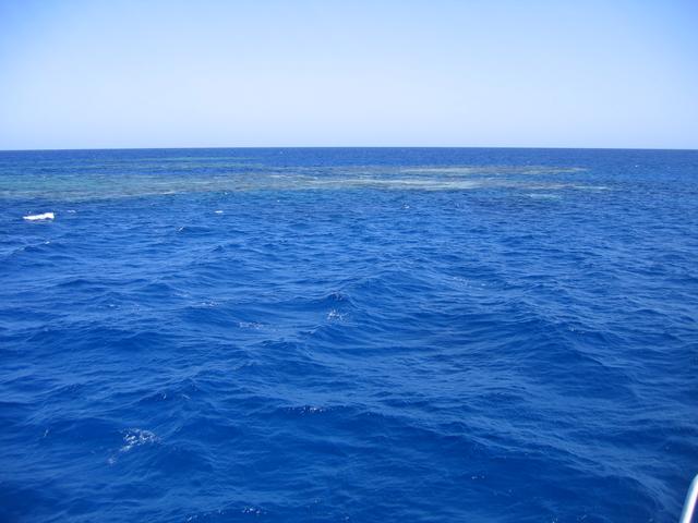 113_1345