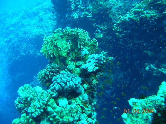 DSCN0676