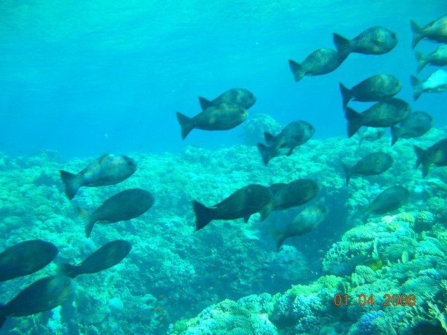 DSCN0687