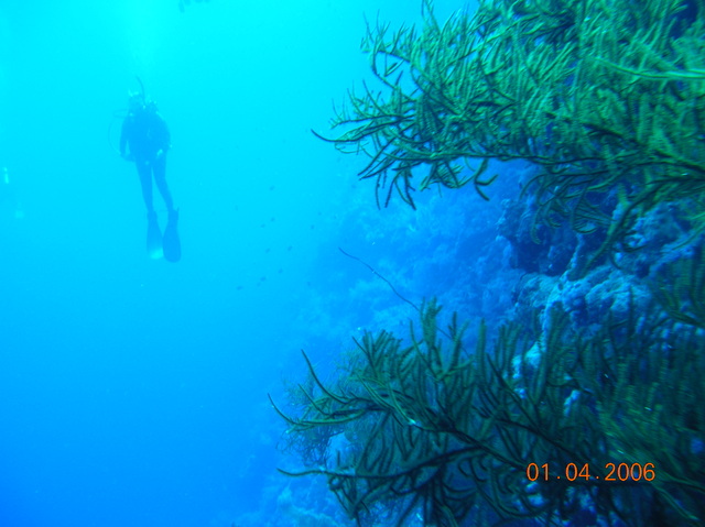 DSCN0692