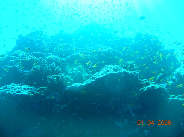 DSCN0700