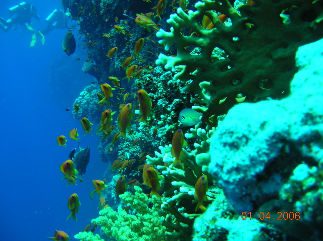 DSCN0707