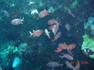 DSCN0708