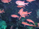 DSCN0709