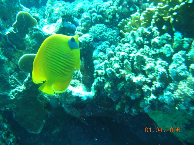 DSCN0714
