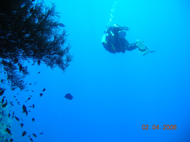 DSCN0736