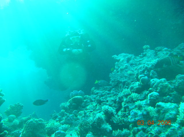 DSCN0743