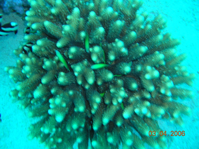 DSCN0744