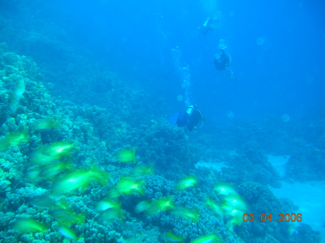 DSCN0752