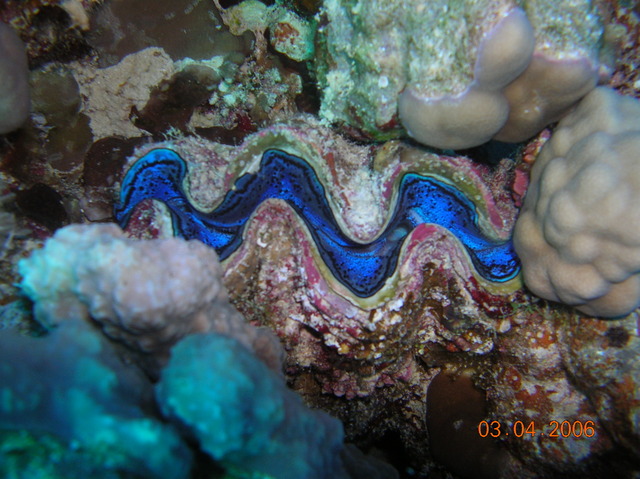 DSCN0753