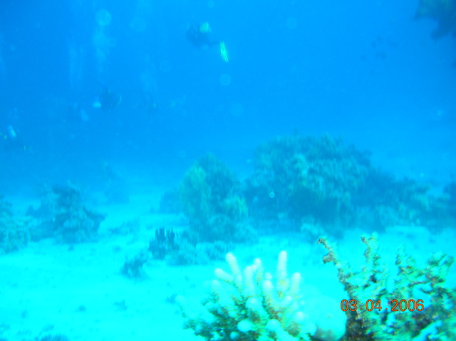 DSCN0756