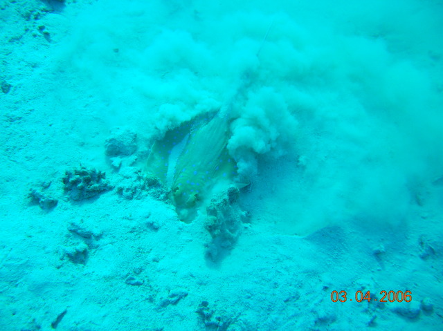 DSCN0759