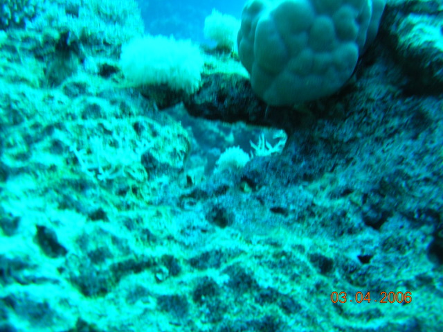 DSCN0760