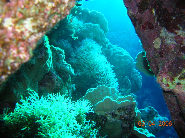 DSCN0761