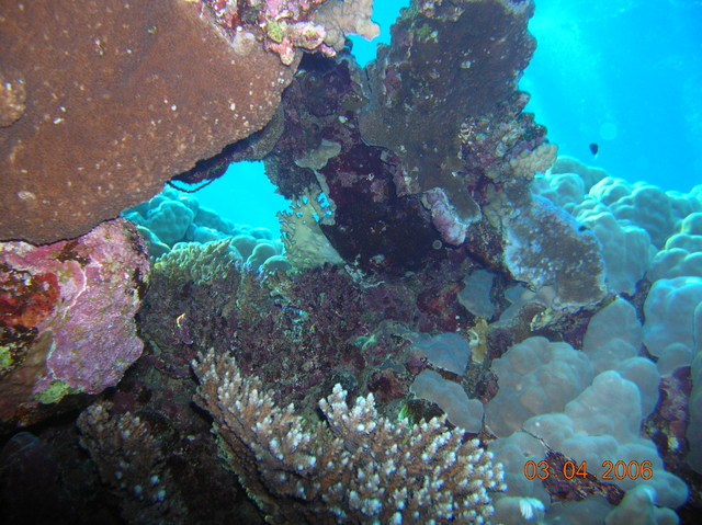 DSCN0762