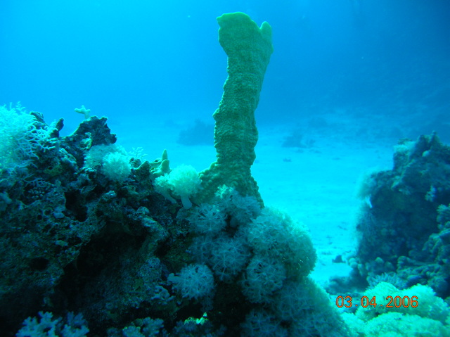 DSCN0767