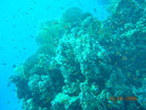 DSCN0768