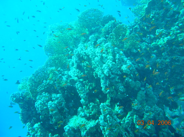 DSCN0768