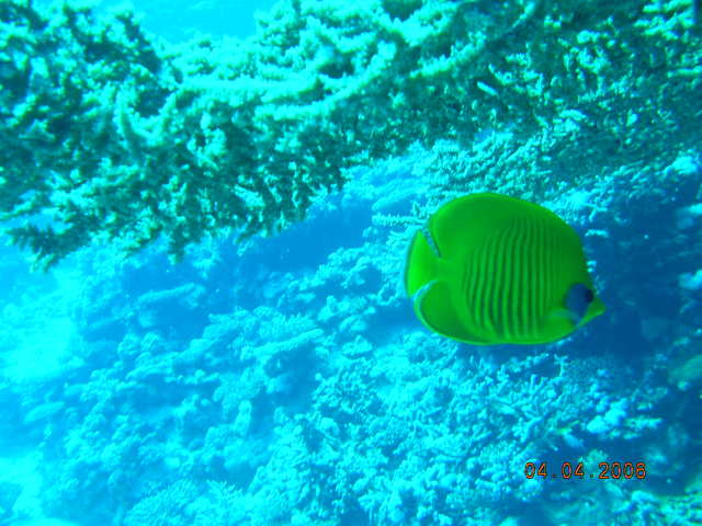 DSCN0929