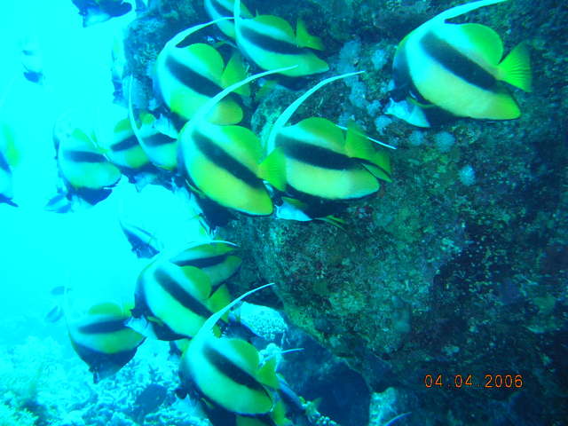DSCN0935