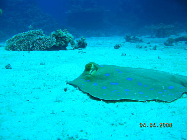 DSCN0944