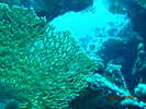DSCN0946