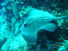 DSCN0967