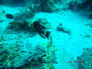 DSCN0983