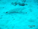 DSCN0986