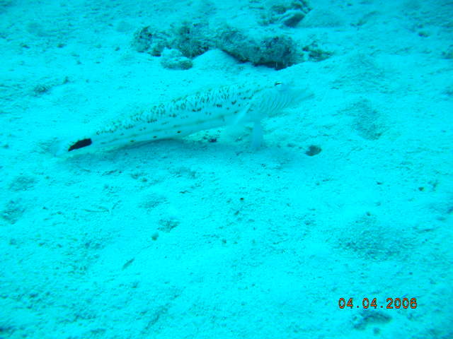 DSCN0986