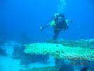 DSCN0996