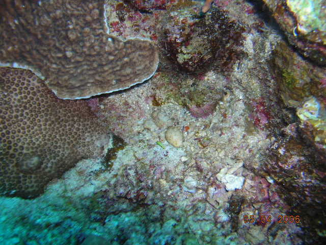 DSCN1049