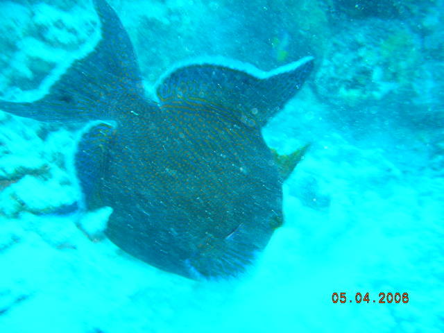 DSCN1075