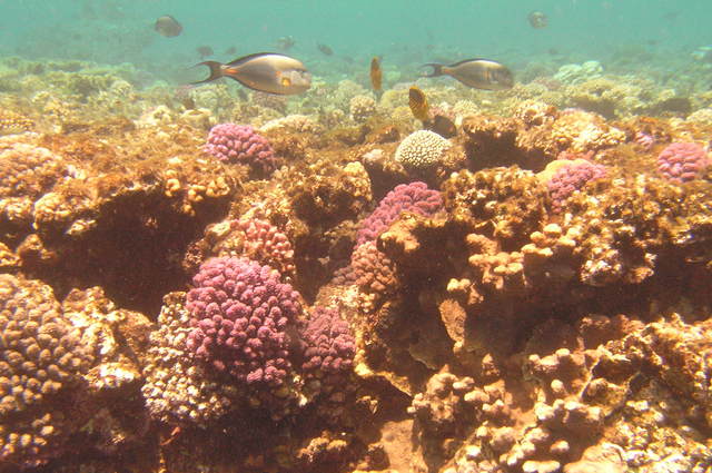 P4030139