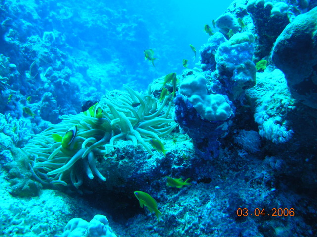 DSCN0779