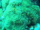 DSCN0790