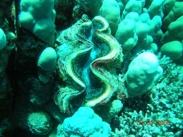 DSCN0792