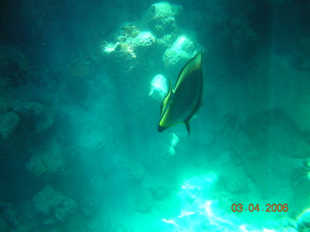 DSCN0799