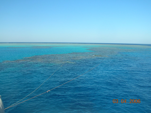 DSCN0807