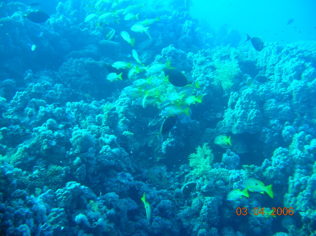 DSCN0812