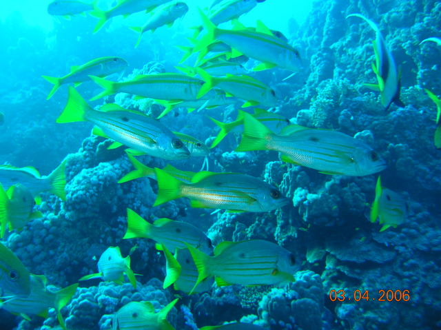 DSCN0818