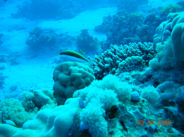 DSCN0819