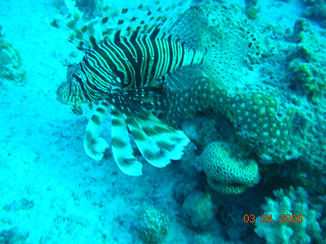 DSCN0822