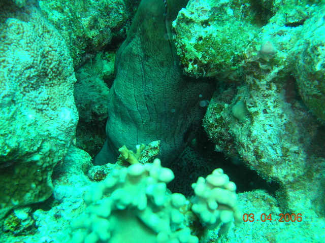 DSCN0829