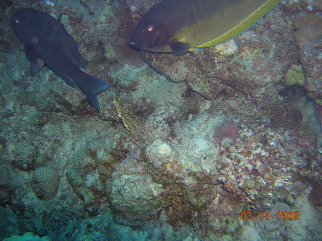 DSCN0834