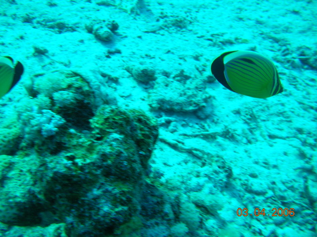 DSCN0836