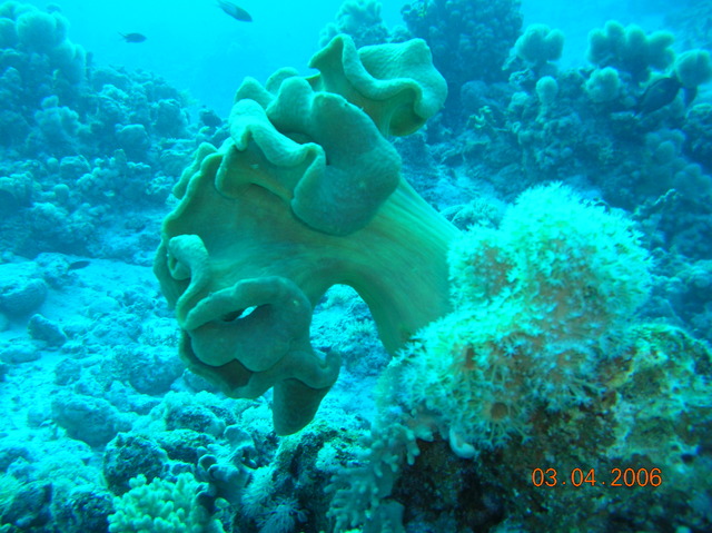 DSCN0837