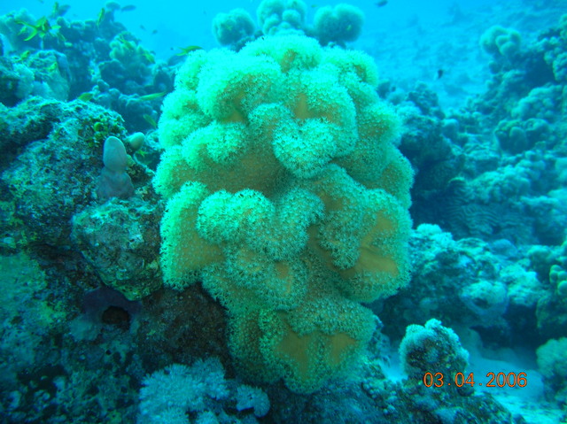 DSCN0838