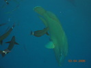 DSCN0848
