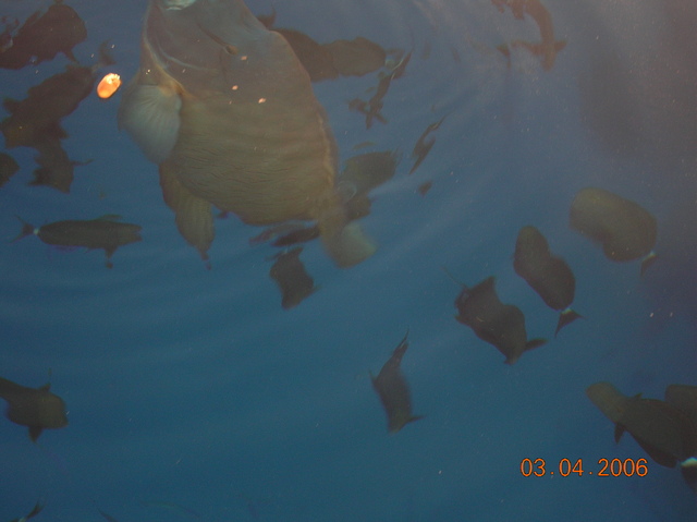 DSCN0850
